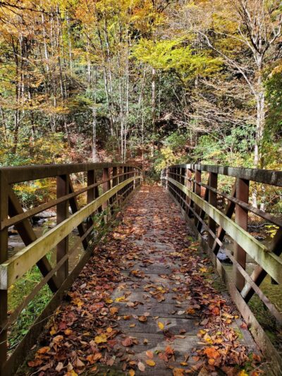 Snowbird Creek Trailhead - Tapoco, NC
