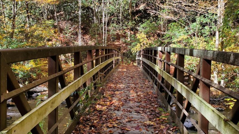 Snowbird Creek Trailhead - Tapoco, NC