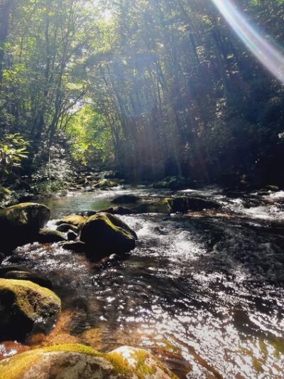Snowbird Creek Trailhead - Tapoco, NC