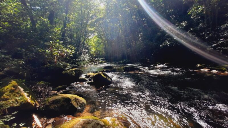Snowbird Creek Trailhead - Tapoco, NC