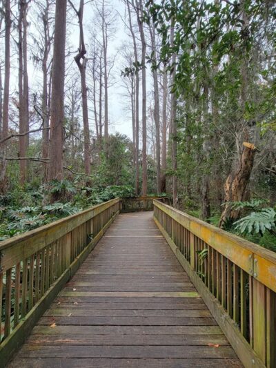 A. L. Anderson Park - Tarpon Springs, FL