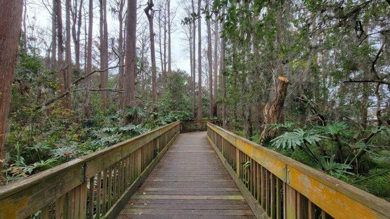 A. L. Anderson Park - Tarpon Springs, FL