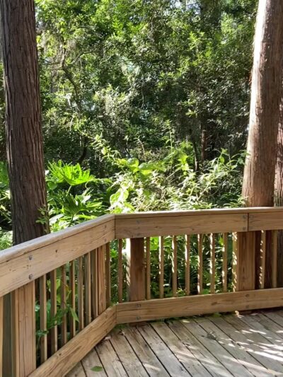 A. L. Anderson Park - Tarpon Springs, FL