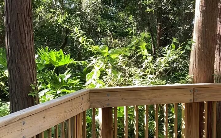 A. L. Anderson Park - Tarpon Springs, FL