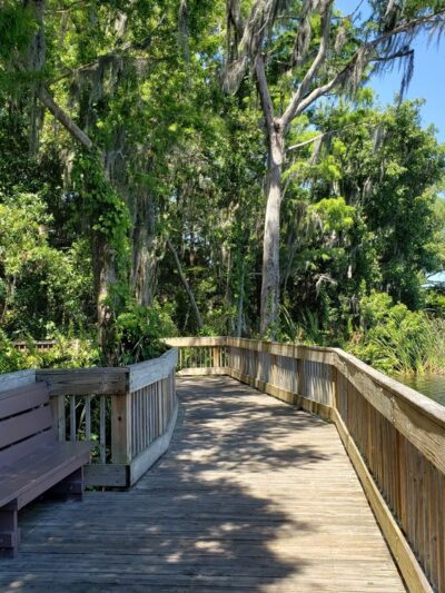 A. L. Anderson Park - Tarpon Springs, FL