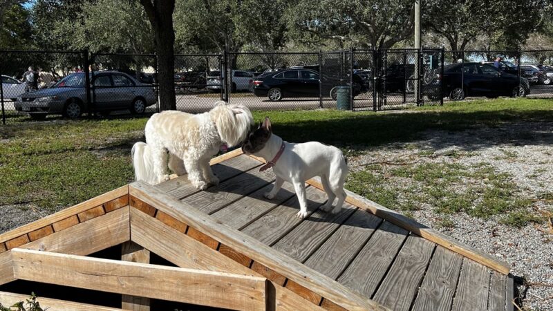 Tarpon Springs Dog Park - Tarpon Springs, FL