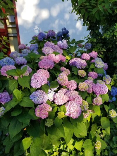 Neperan Park - Tarrytown, NY