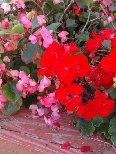 Neperan Park - Tarrytown, NY