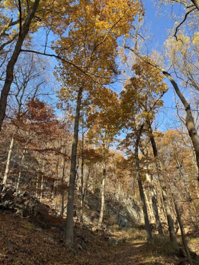 Raven's Rock - Tarrytown, NY