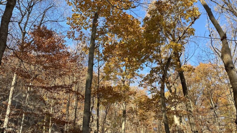 Raven's Rock - Tarrytown, NY