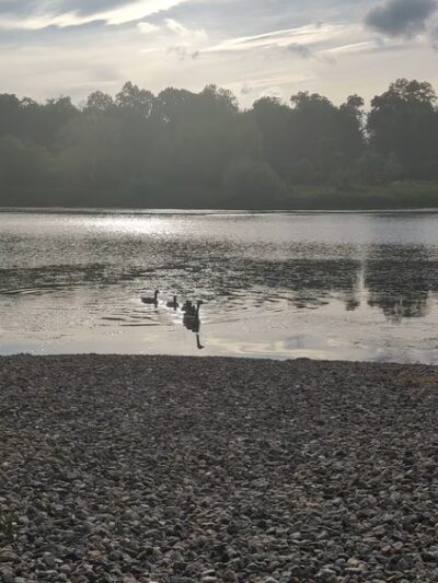 Tarrytown Lakes Park - Tarrytown, NY
