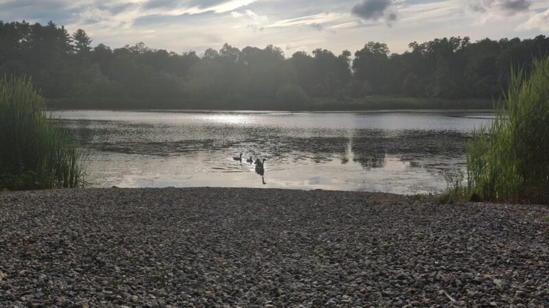Tarrytown Lakes Park - Tarrytown, NY