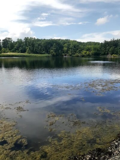 Tarrytown Lakes Park - Tarrytown, NY