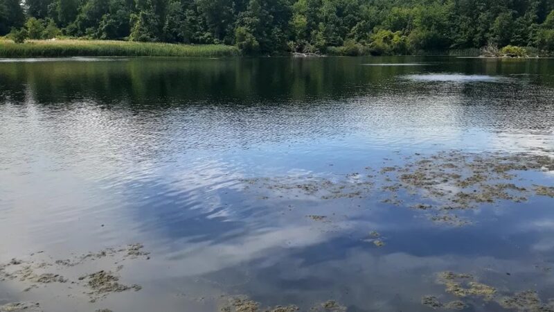 Tarrytown Lakes Park - Tarrytown, NY