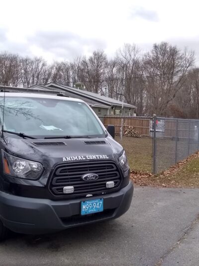 Taunton Animal Care Facility - Taunton, MA