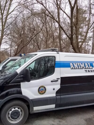 Taunton Animal Care Facility - Taunton, MA