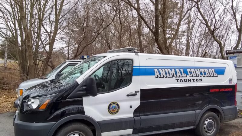 Taunton Animal Care Facility - Taunton, MA