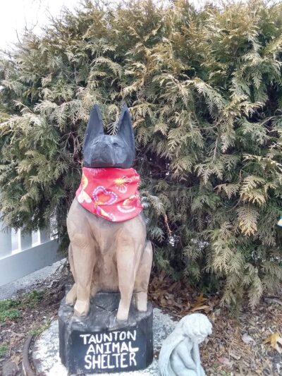 Taunton Animal Care Facility - Taunton, MA