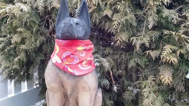 Taunton Animal Care Facility - Taunton, MA