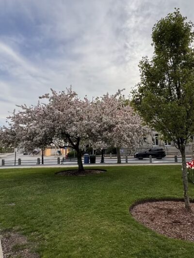 Taunton Green - Taunton, MA