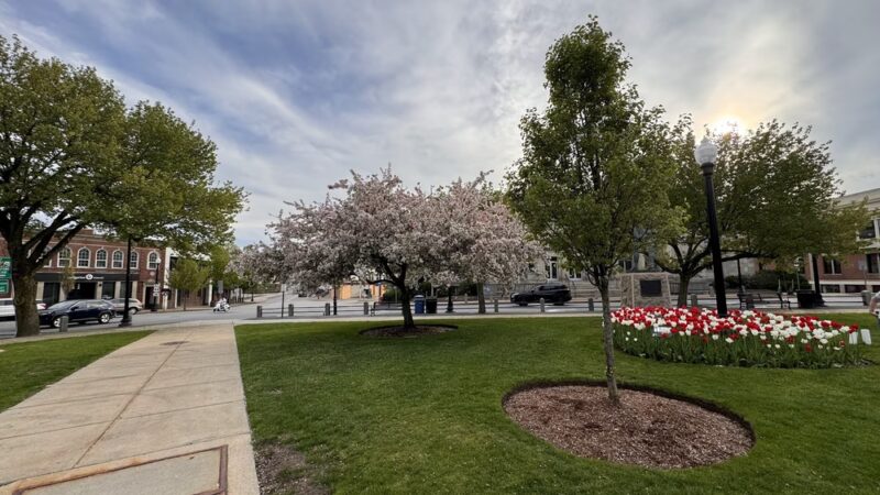 Taunton Green - Taunton, MA