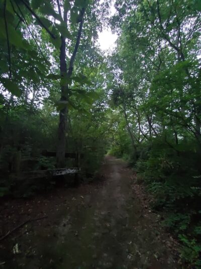 Taunton Parks & Recreation - Taunton, MA