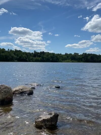 Watson Pond State Park - Taunton, MA
