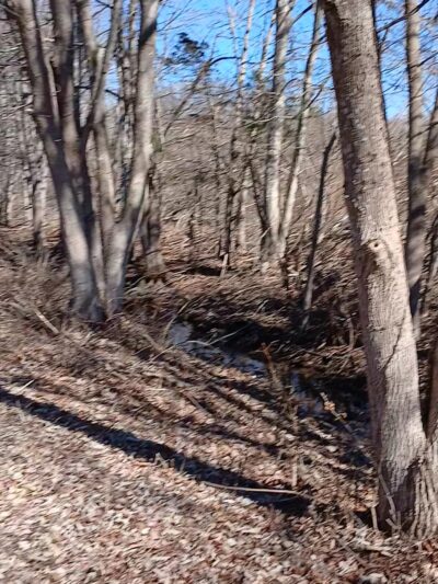 Westville Conservation Area - Taunton, MA