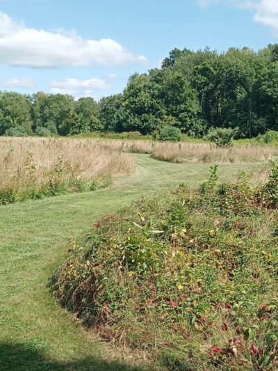 Westville Conservation Area - Taunton, MA