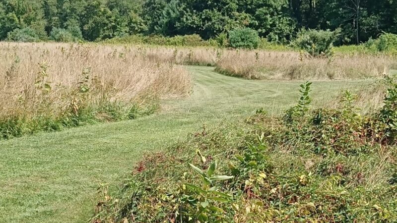 Westville Conservation Area - Taunton, MA