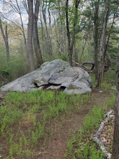 Westville Conservation Area - Taunton, MA