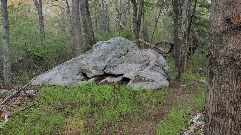 Westville Conservation Area - Taunton, MA