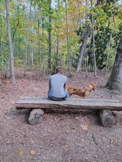 Point Park - Taylorsville, NC