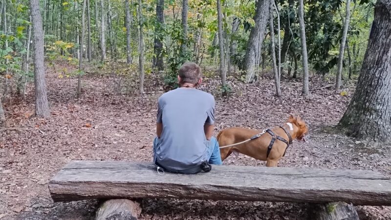 Point Park - Taylorsville, NC