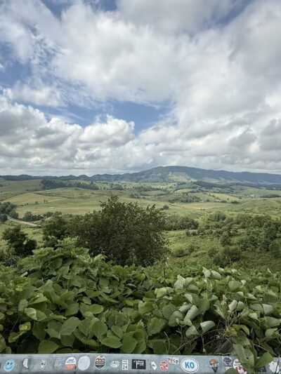 Back of the Dragon Brewery - Tazewell, VA