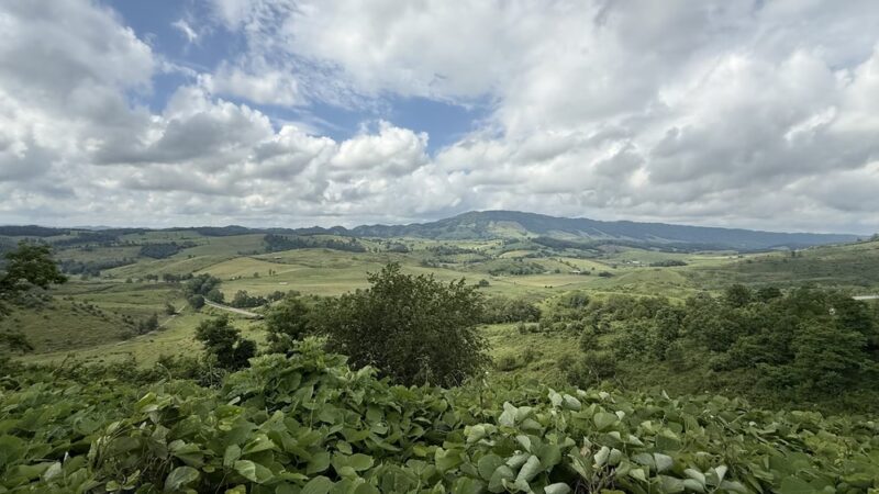 Back of the Dragon Brewery - Tazewell, VA