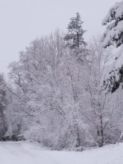 Ruhl Park - Tekoa, WA