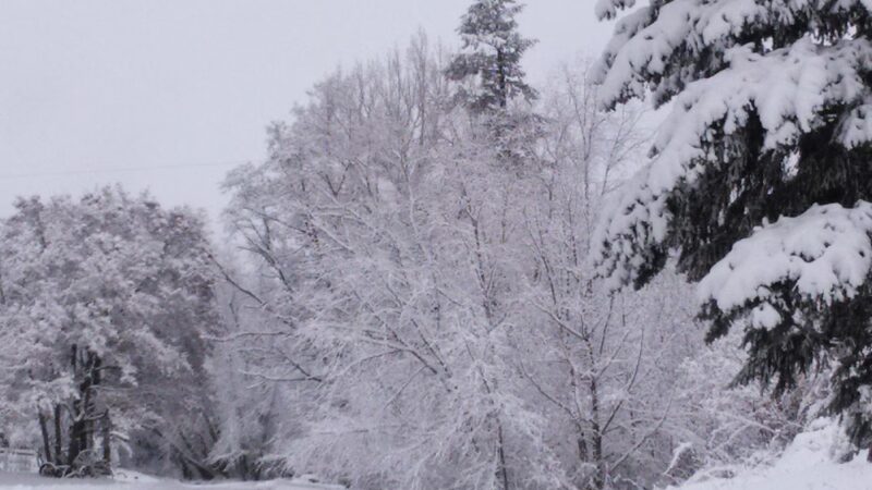 Ruhl Park - Tekoa, WA