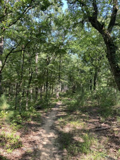 Bois D' Arc Trailhead Campground - Telephone, TX