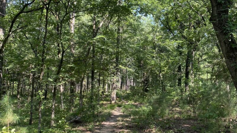 Bois D' Arc Trailhead Campground - Telephone, TX