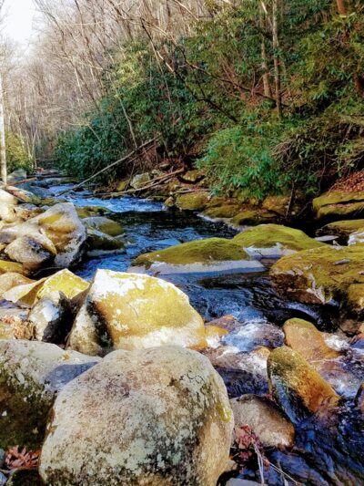 South Fork Citico Creek Trailhead - Tellico Plains, TN