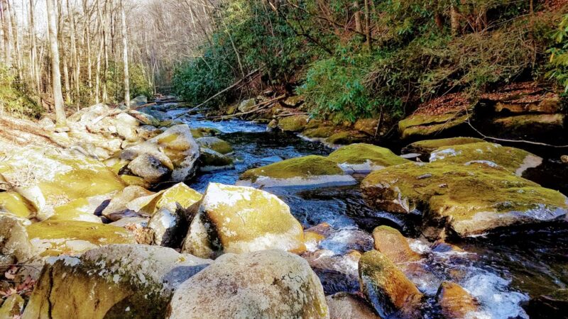 South Fork Citico Creek Trailhead - Tellico Plains, TN