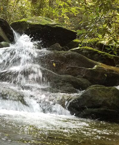 South Fork Citico Creek Trailhead - Tellico Plains, TN