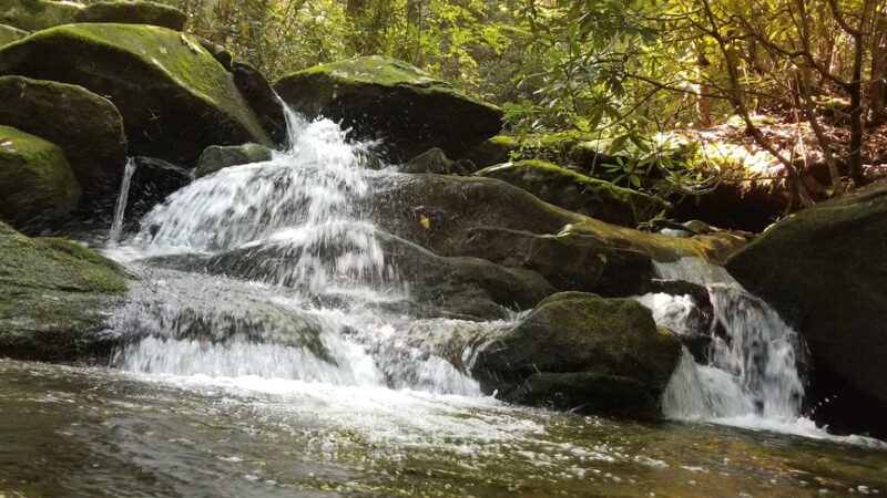 South Fork Citico Creek Trailhead - Tellico Plains, TN
