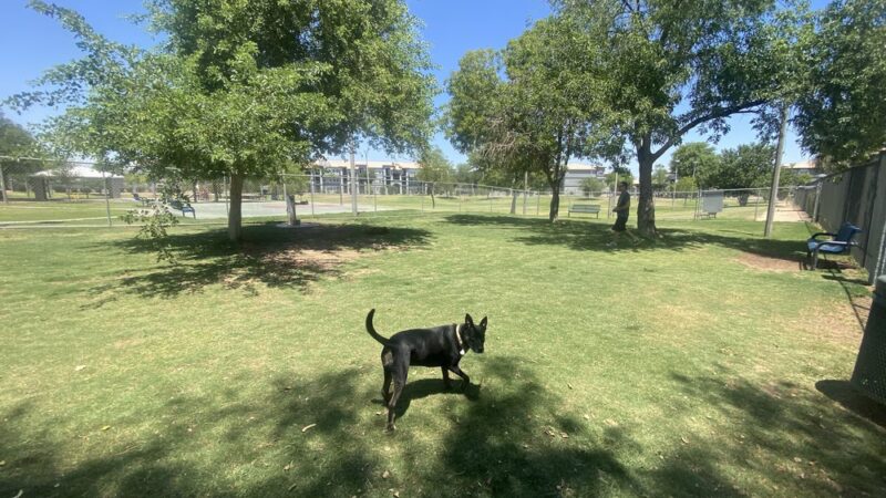 Creamery Dog Park - Tempe, AZ