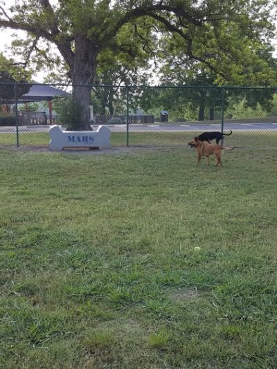 Lions Park Dog Park - Temple, TX