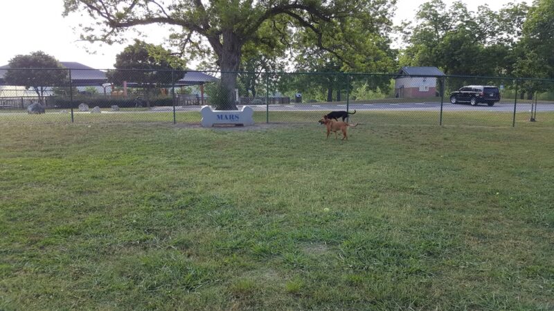 Lions Park Dog Park - Temple, TX