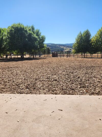 Vineyard Dog Park - Templeton, CA