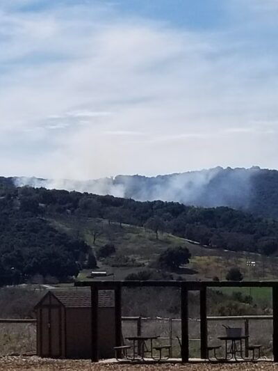 Vineyard Dog Park - Templeton, CA