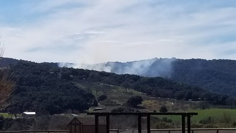 Vineyard Dog Park - Templeton, CA